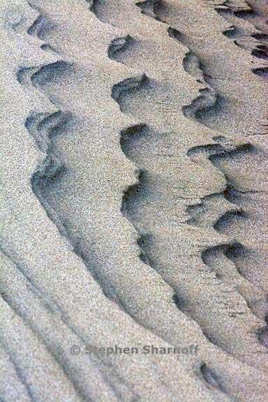 sand pattern 3705 2 graphic